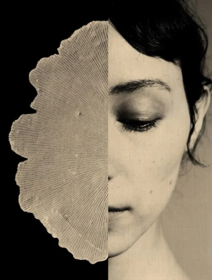 The Art of Living — Book Reading & Meditation | Wednesdays at 7:30PM - 8:30PM EST