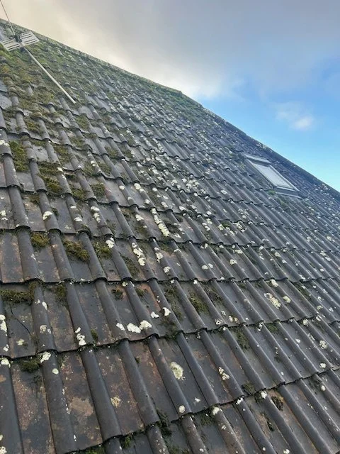 before new felt and batter.jpeg