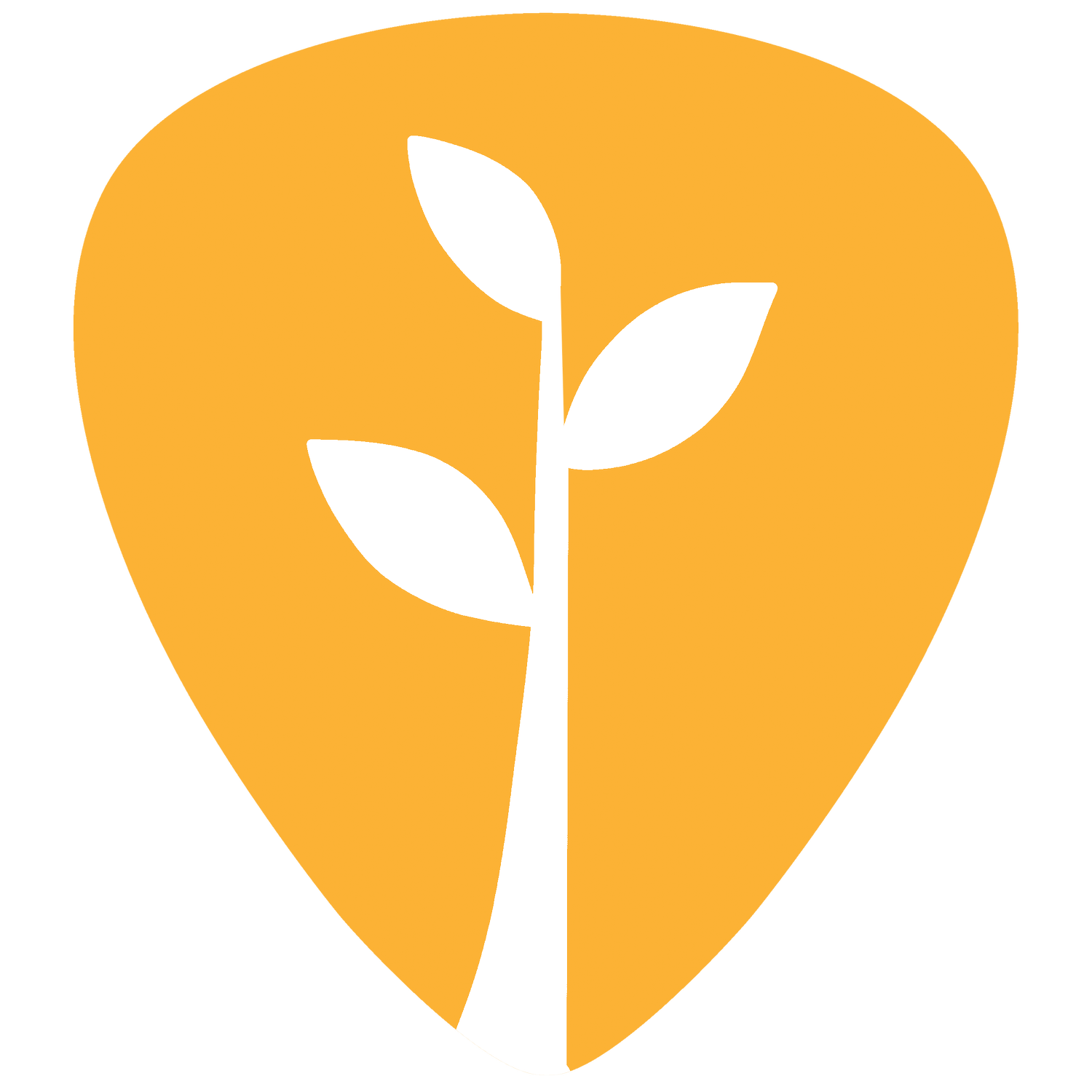 PLANT BASED RIFFS