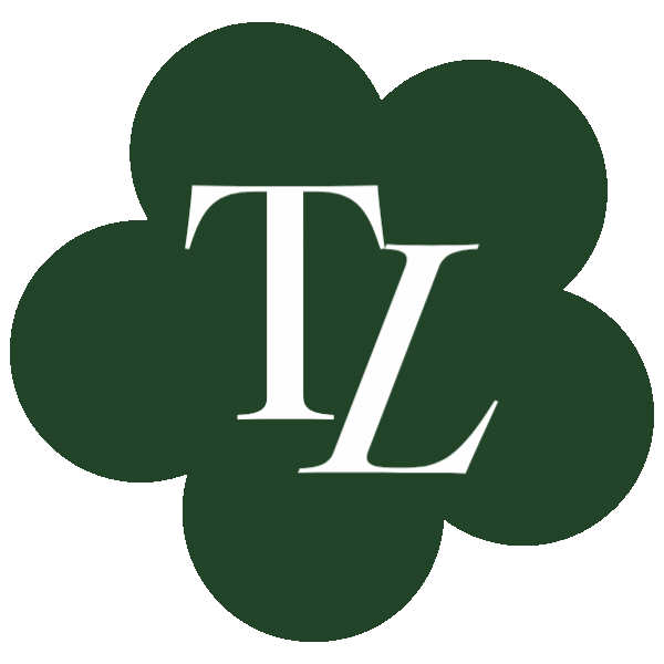 The Lines by Natalia logo — fashion business consulting for apparel and product brand founders