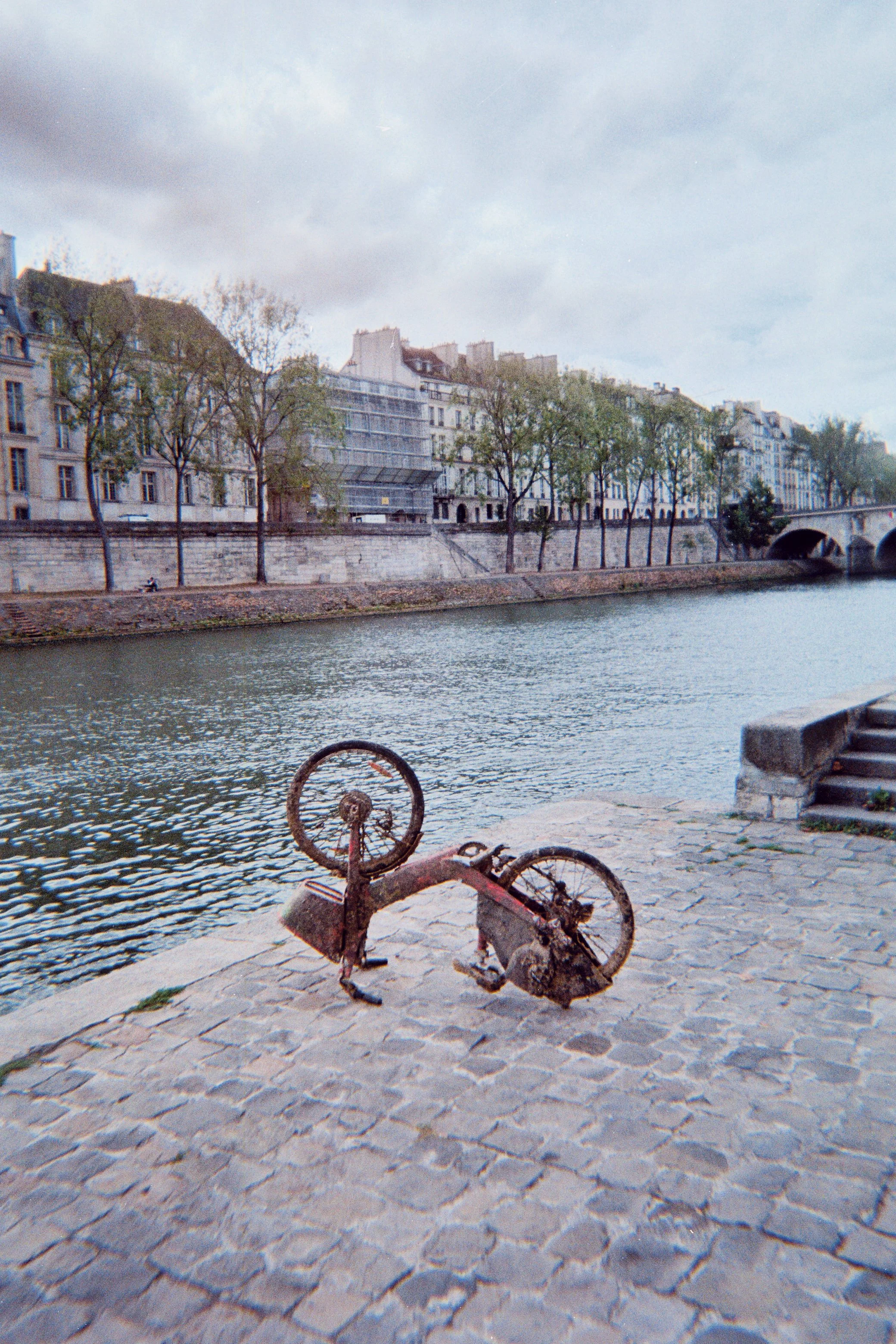 Pellicule paris-24.jpg