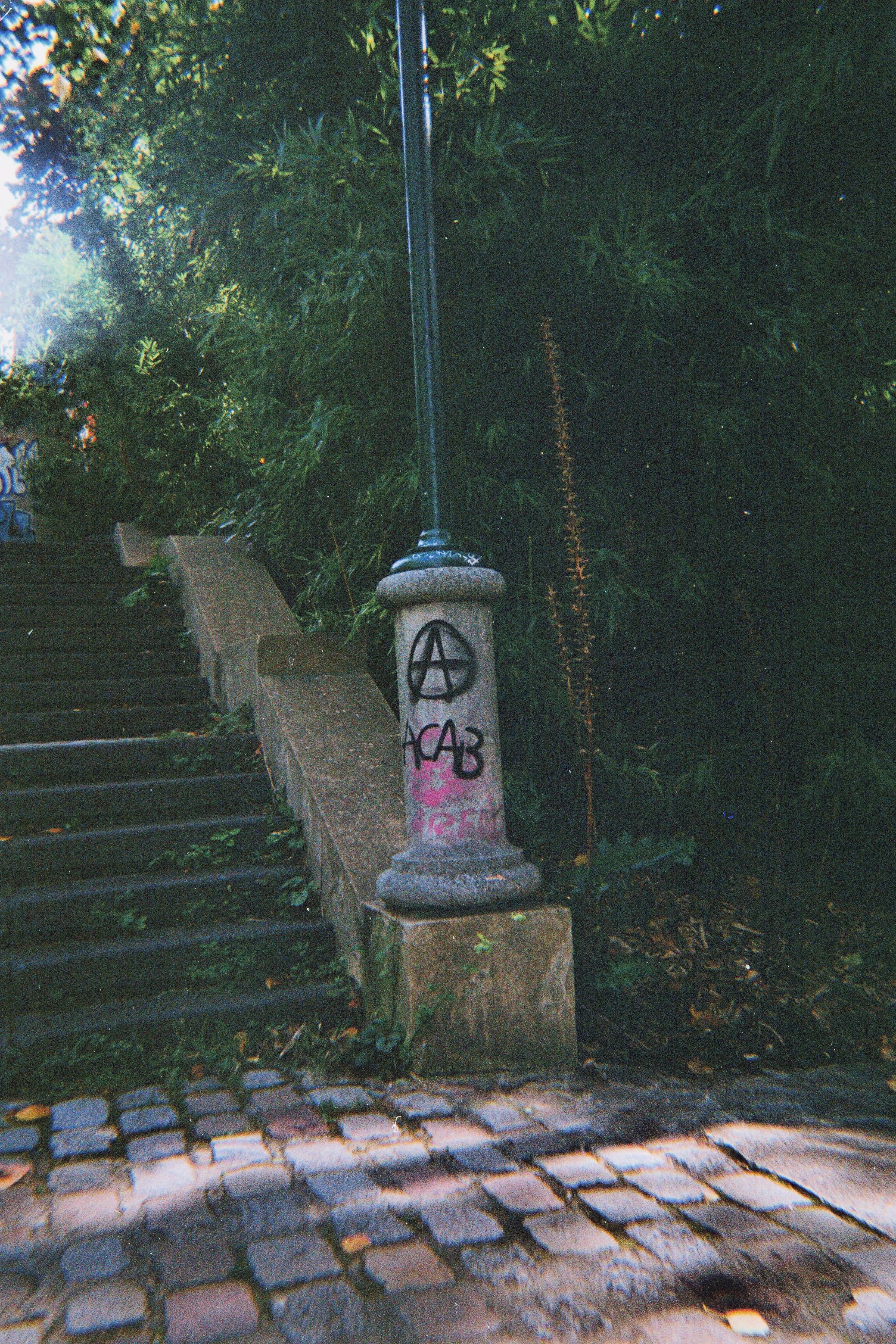 Pellicule paris-25.jpg