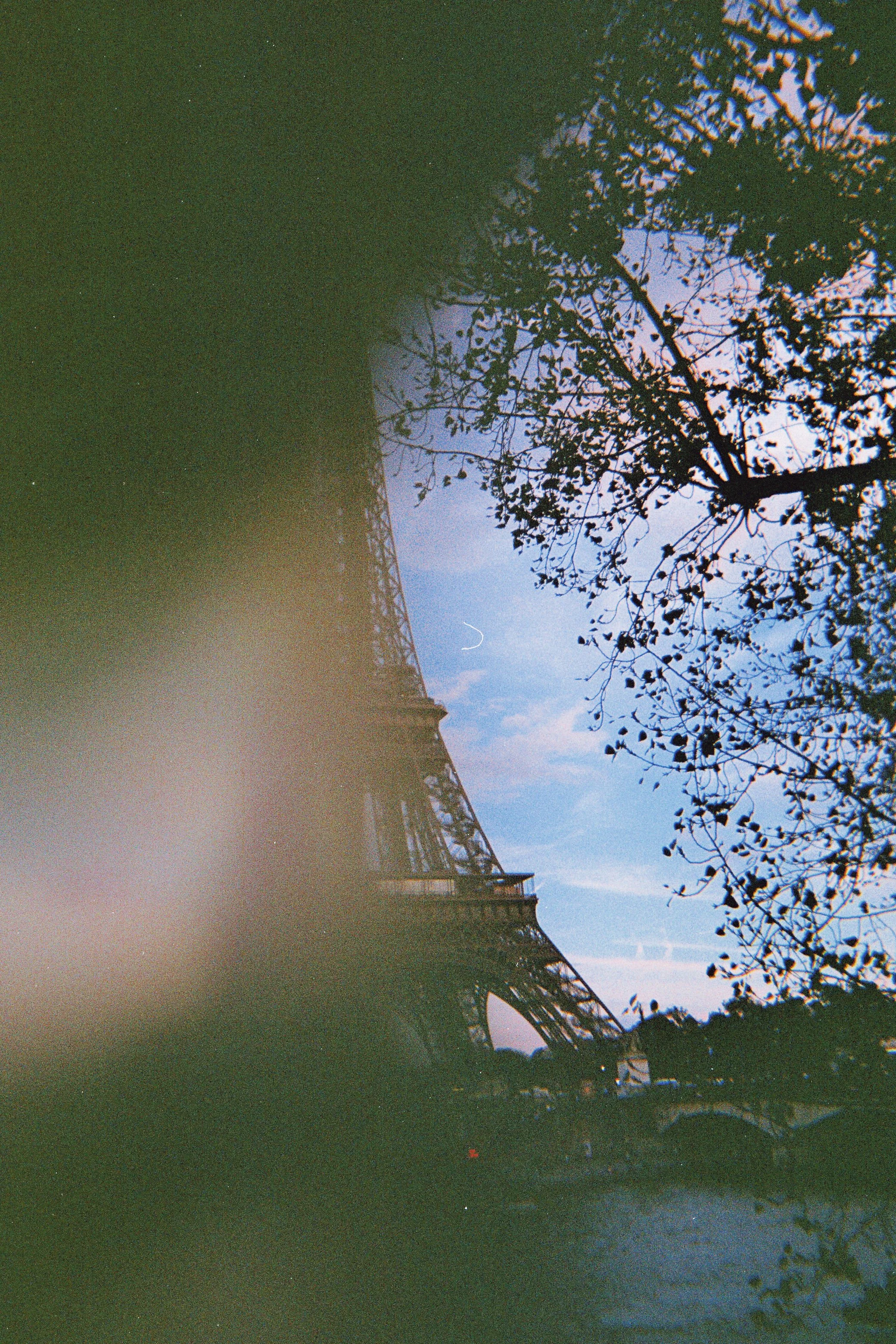 Pellicule paris-19.jpg