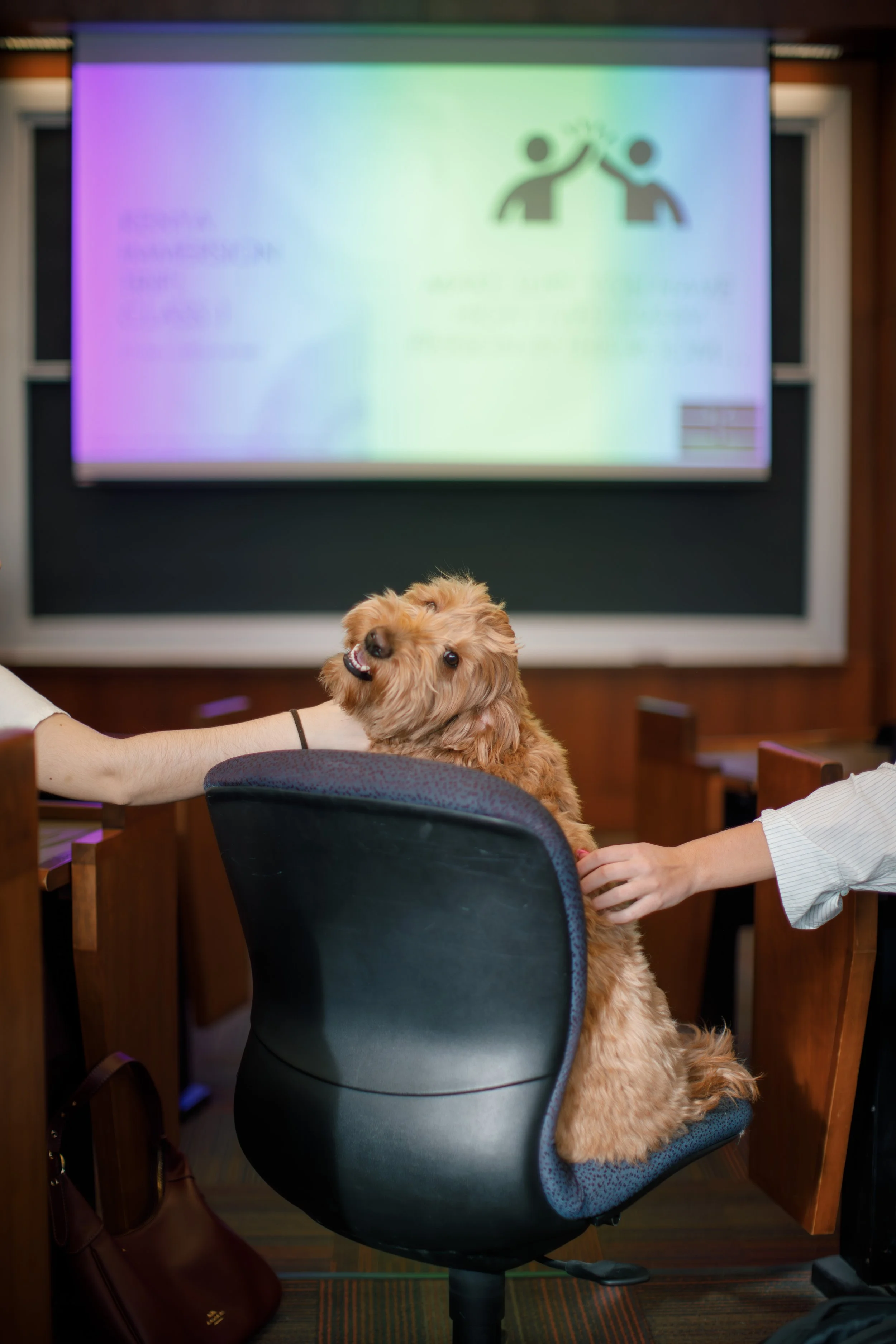 POSTEDAveryMagee_PE_TeachersPets_03162026_-15.jpg