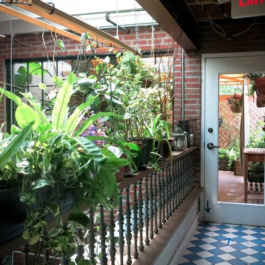 Roof Garden