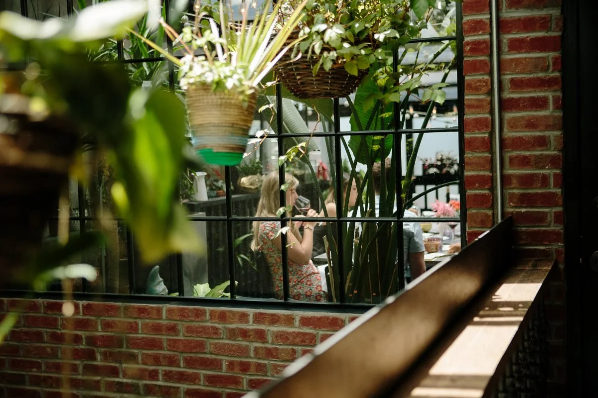 Roof Garden