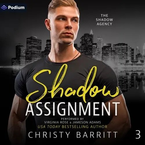 Shadow Assignment.jpeg