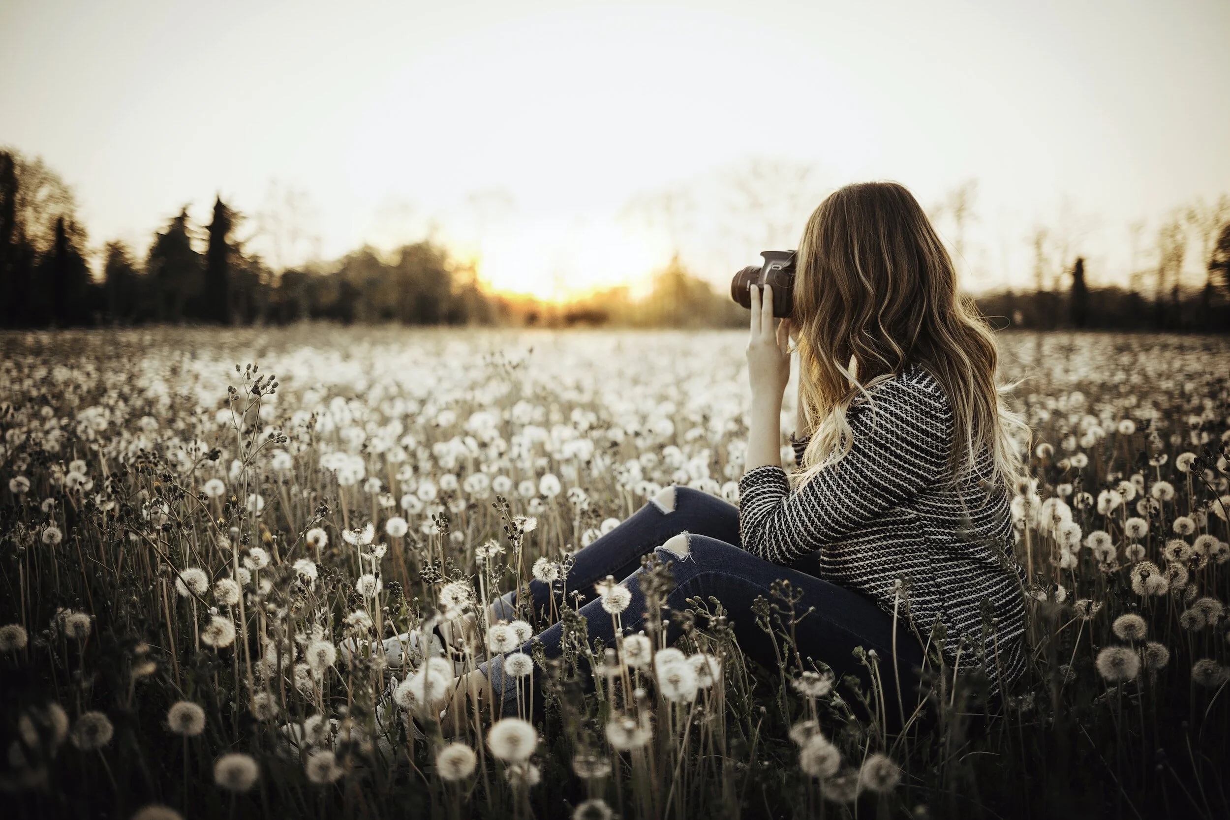 Woman sitting in a field of dandelions taking a photo with a camera at sunset.