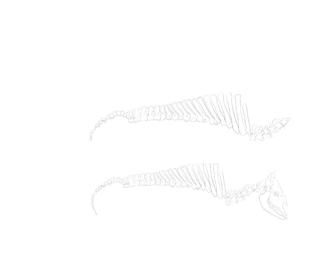 sketches 1-01-01.jpg