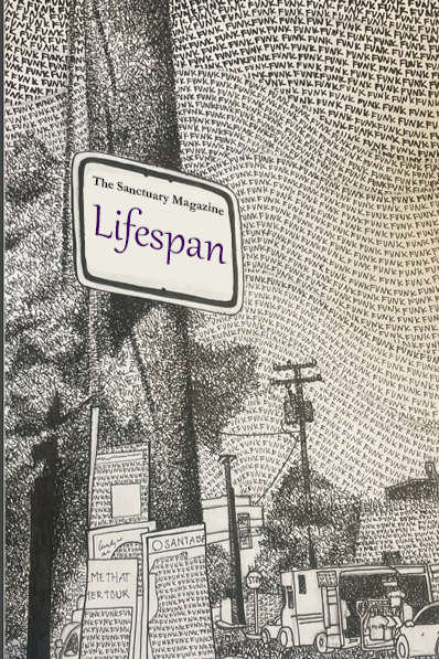 Issue 19 (2026)