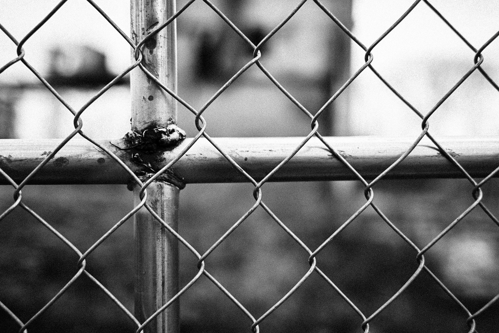 Captivity Should Not be For Sale