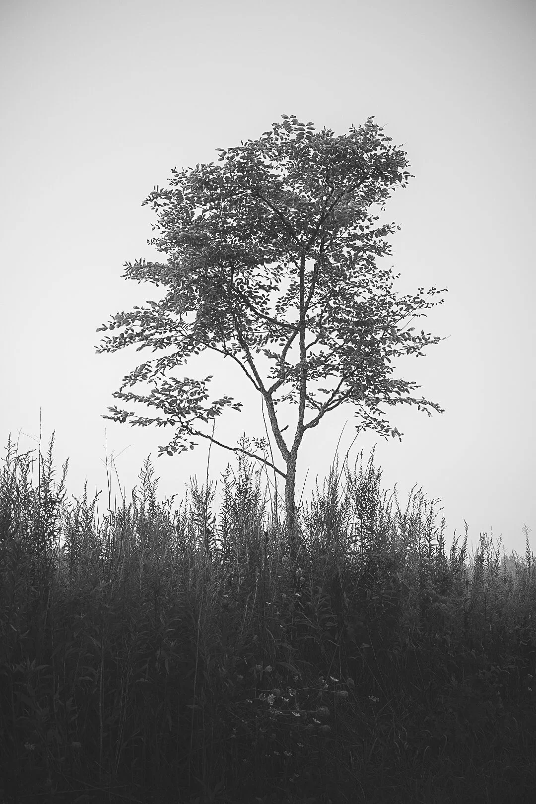 True Autonomy and the Path Forward