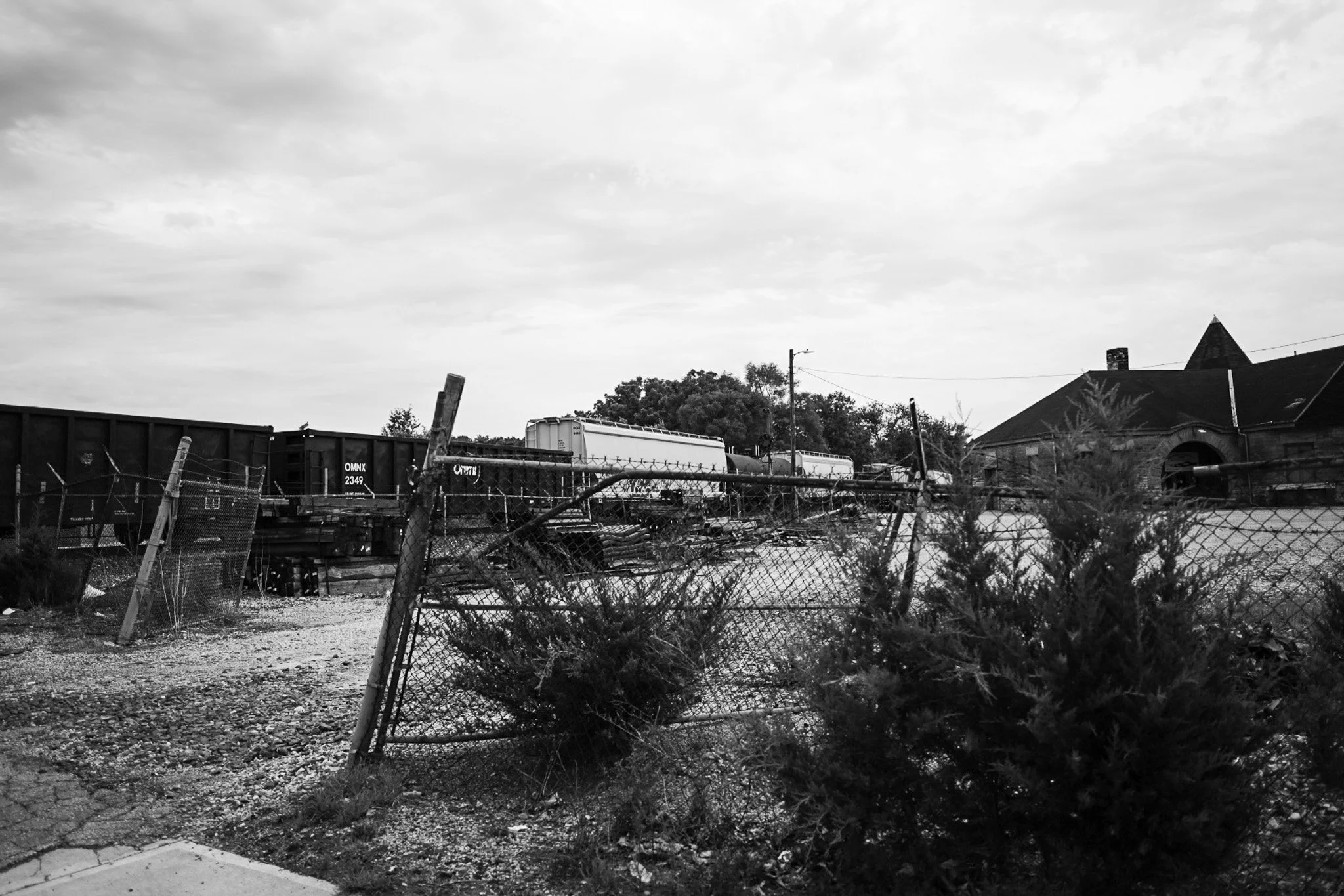 DSC_7091.jpg