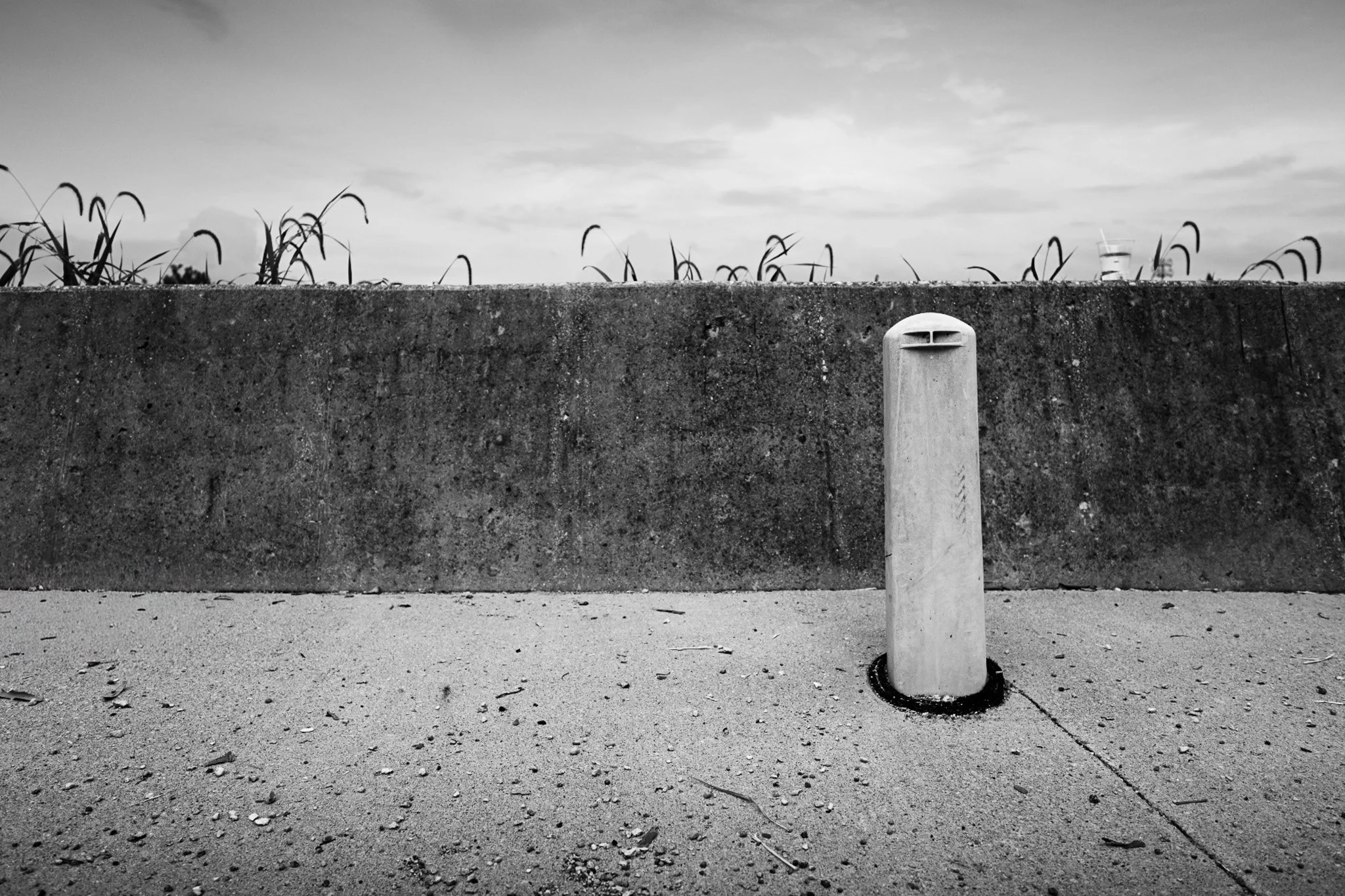 DSC_7205_1.jpg