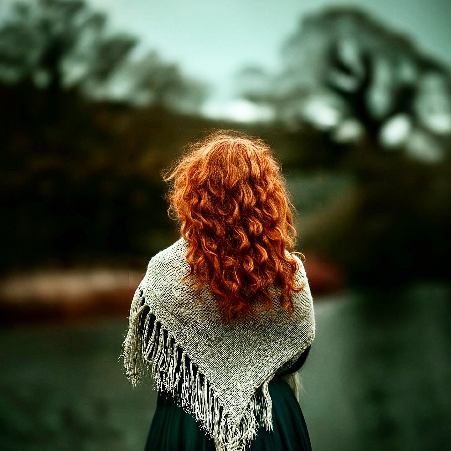 A Wind a Blowin&rsquo;

~~~&hearts;~~~

A leaden chill clings to a wind a blowin&rsquo;
Nature&rsquo;s soft answer of a distant lowin&rsquo;

Ancient woven shawl hugs close her broken heart
Its rhythm beats a plea ne&rsquo;er fall apart

Will invadin