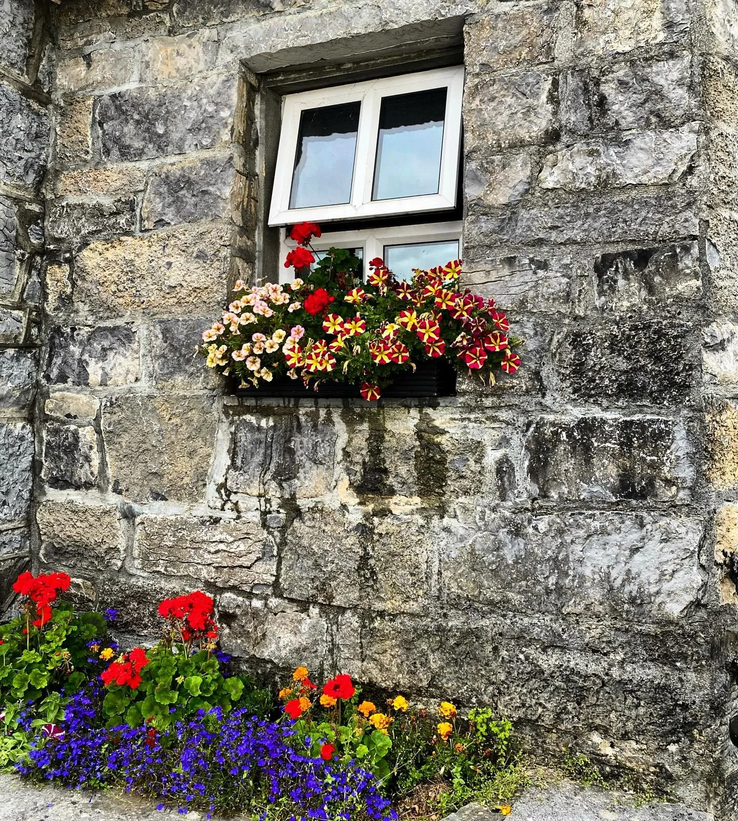 Beauty found in simplicity is one the sweetest joys 🕊️

(Photo taken two months ago on the Aran Islands)