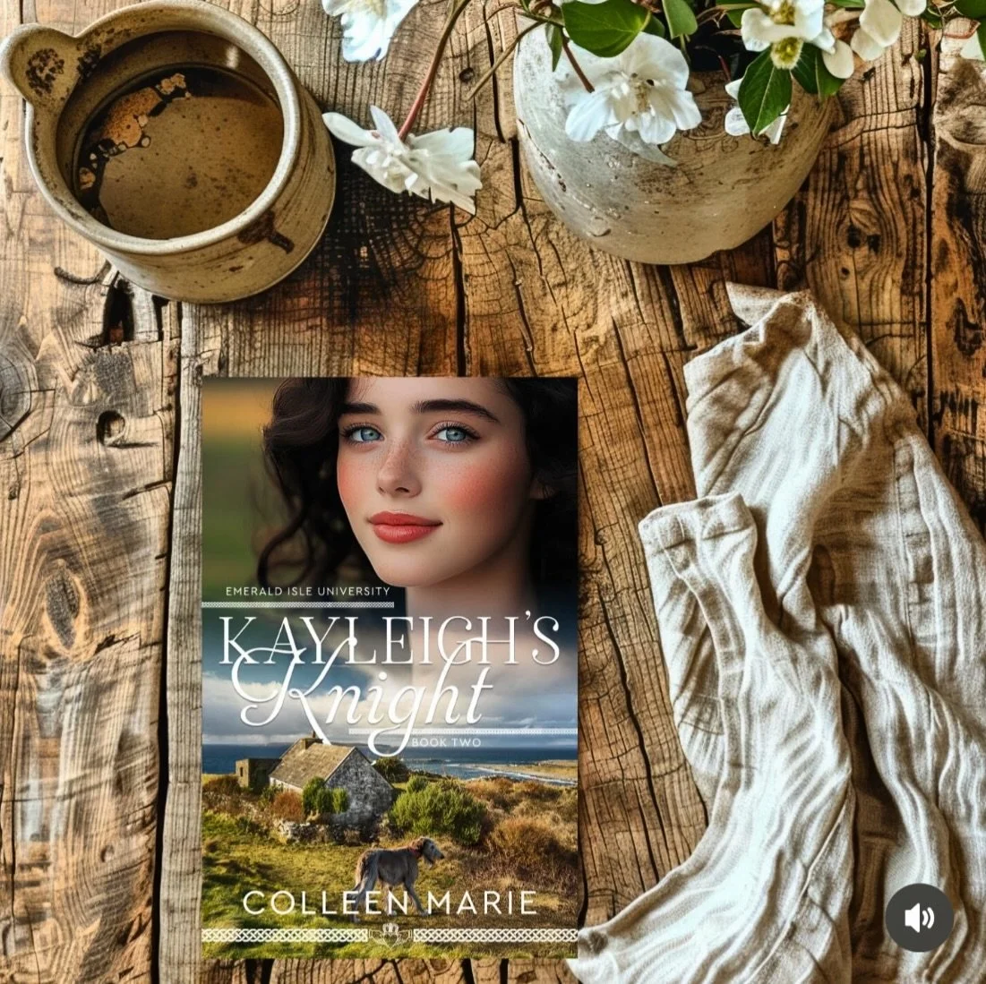 &ldquo;Kayleigh&rsquo;s Knight is the second book in Colleen Marie&rsquo;s Emerald Isle series. Each book focuses on one of the O&rsquo;Reilly sisters and her freshman year at Emerald Isle University in Ireland...There is so much to enjoy in these st