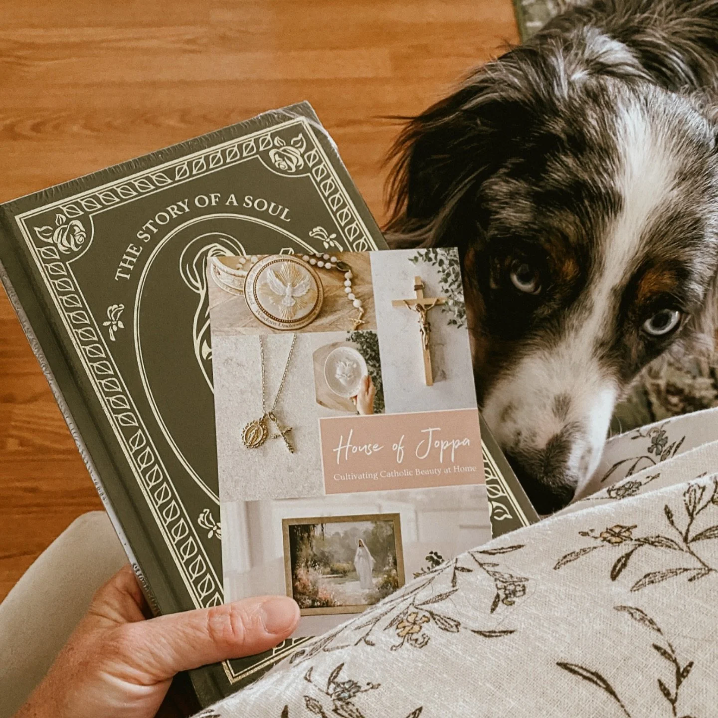 &ldquo;It is to you, dearest Mother, to you who are doubly a mother to me, that I am about to confide the story of my soul. When you asked me to write, I feared the task might unsettled me, but Our Lord has deigned to make me understand that by simpl