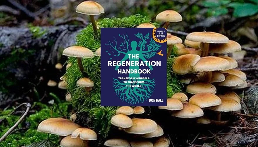 Growing the Movement for Regenerative Communities: How You Can Help and How We Can Win
