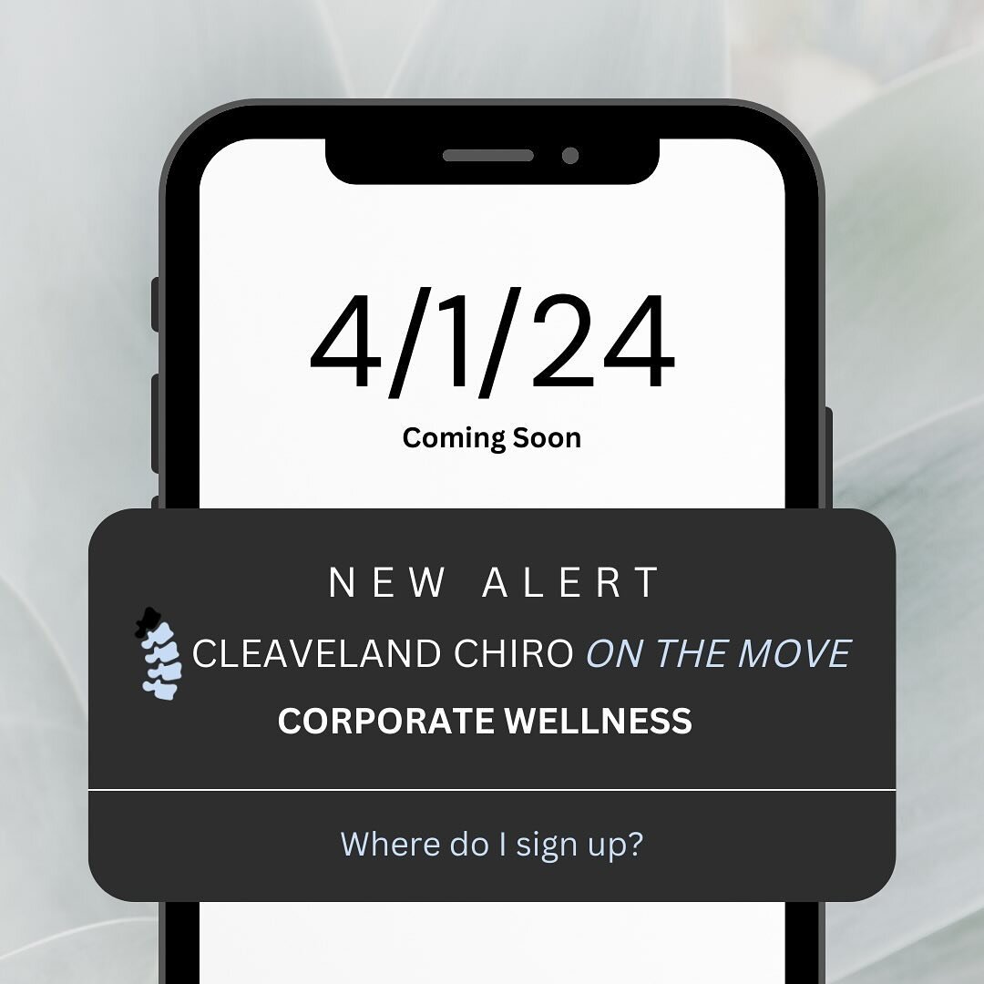 NOW OFFERING ✨Corporate Wellness✨
&bull;
No more &ldquo;I can&rsquo;t make appointments because of work and traffic,&rdquo; let me come to you AND your co-workers🙌🏼
&bull;
DM if you have further questions!💌
&bull;
#newtonma #burlingtonchiro #great