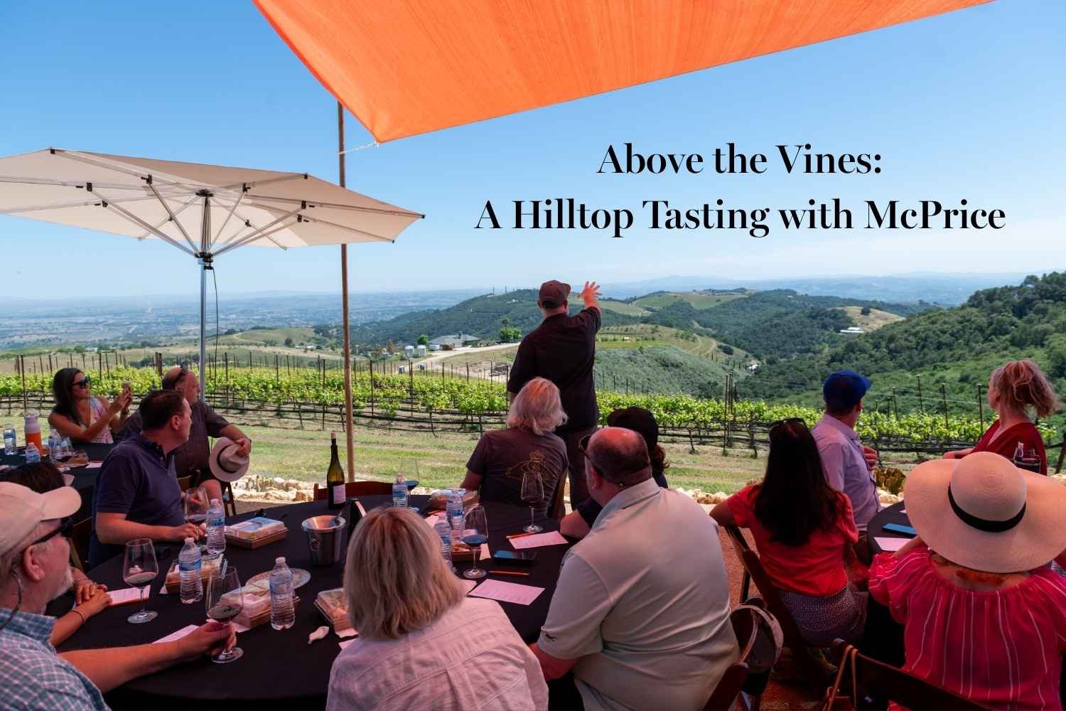 Above the Vines: A Hilltop Tasting with McPrice