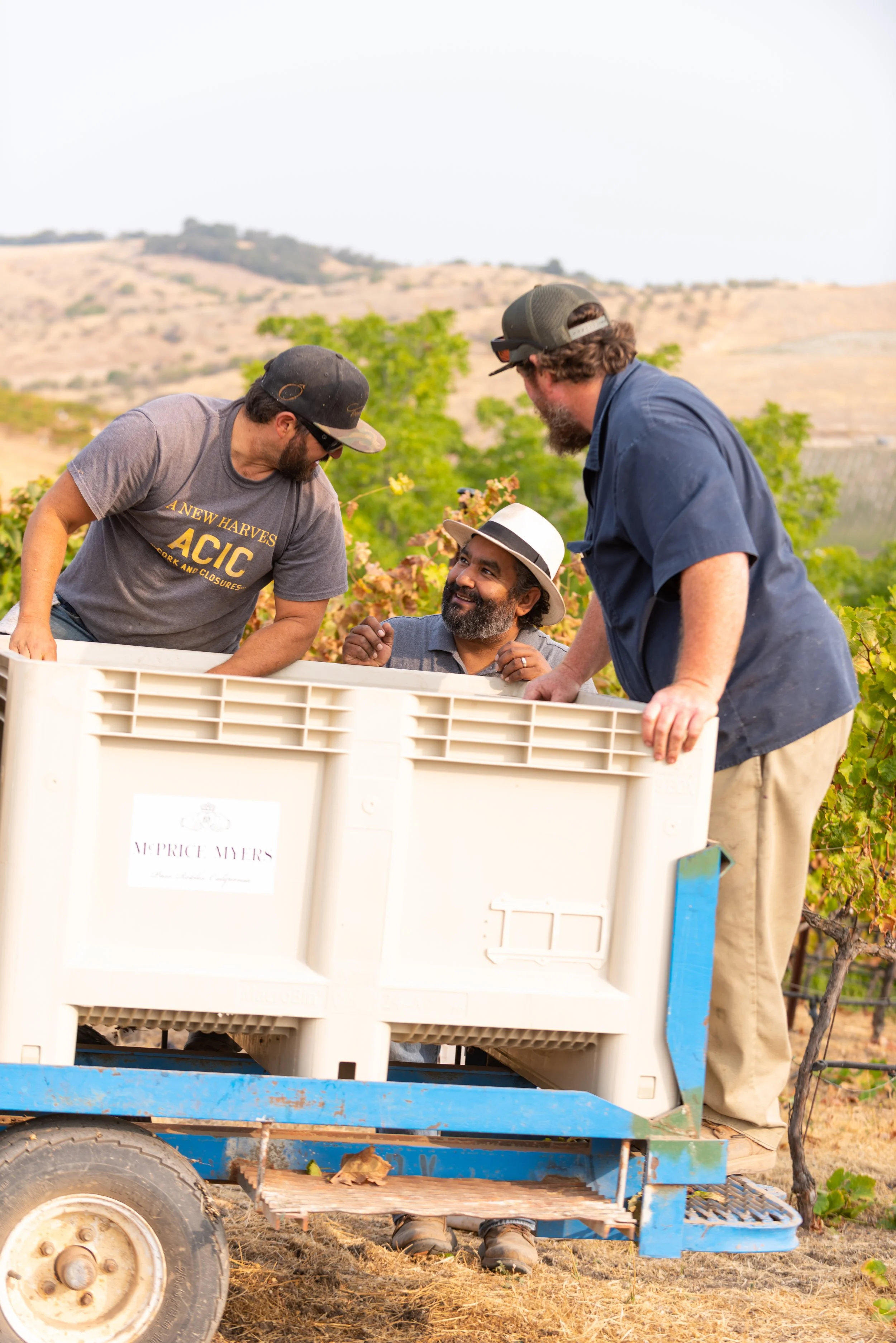 Harvest on the Estate