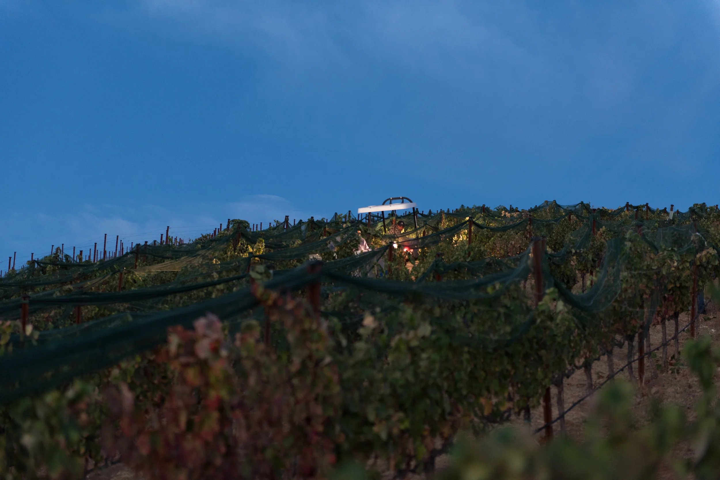 Harvest on the Estate