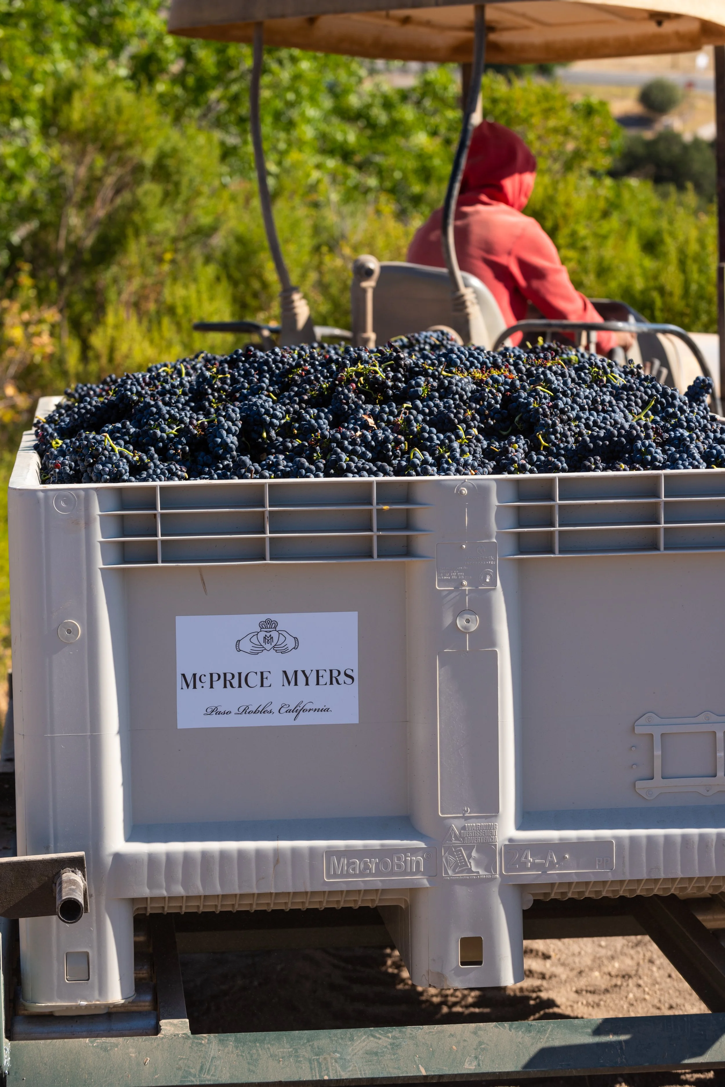 Harvest on the Estate