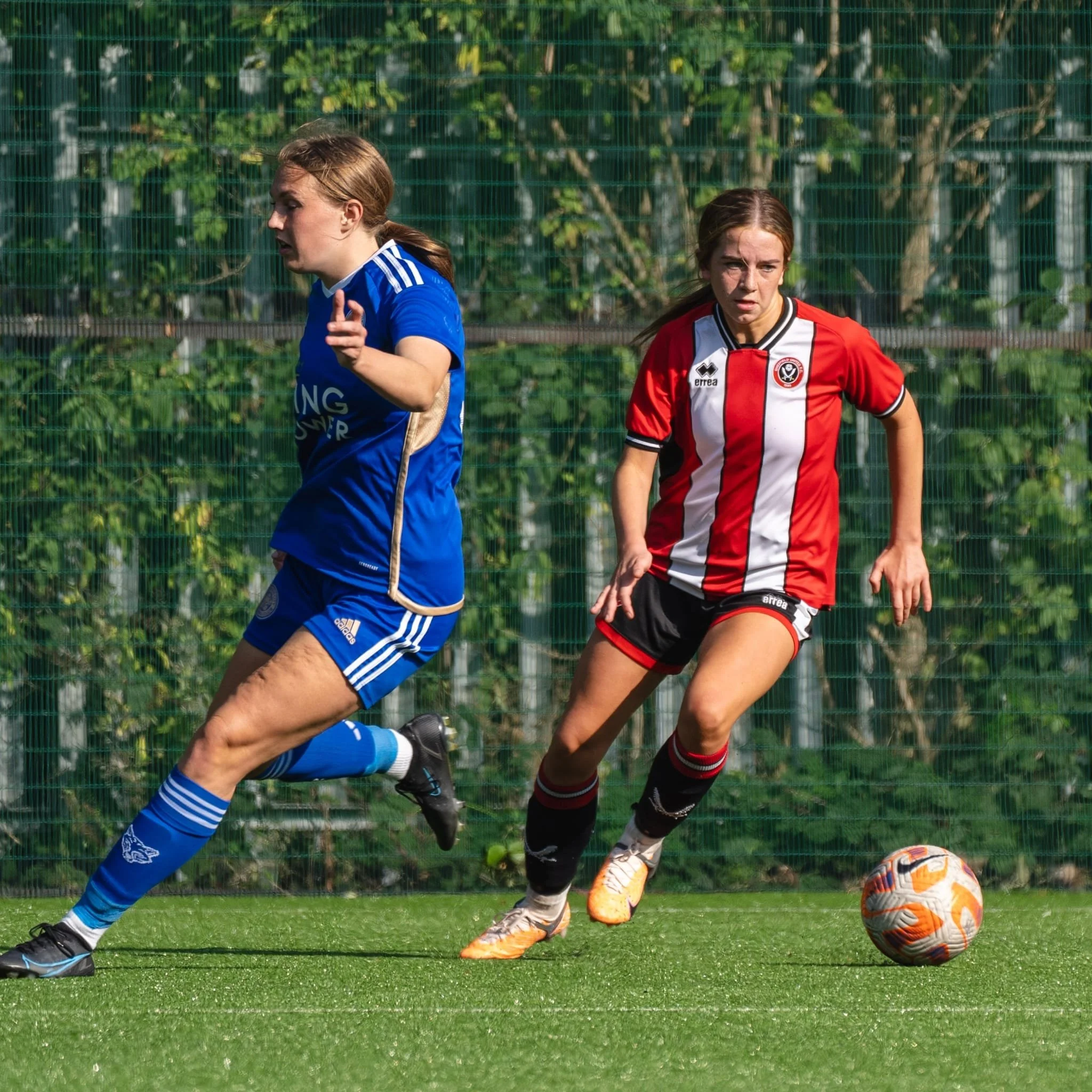 WhatsApp Image 2023-11-06 at 9.42.31 PM.jpeg