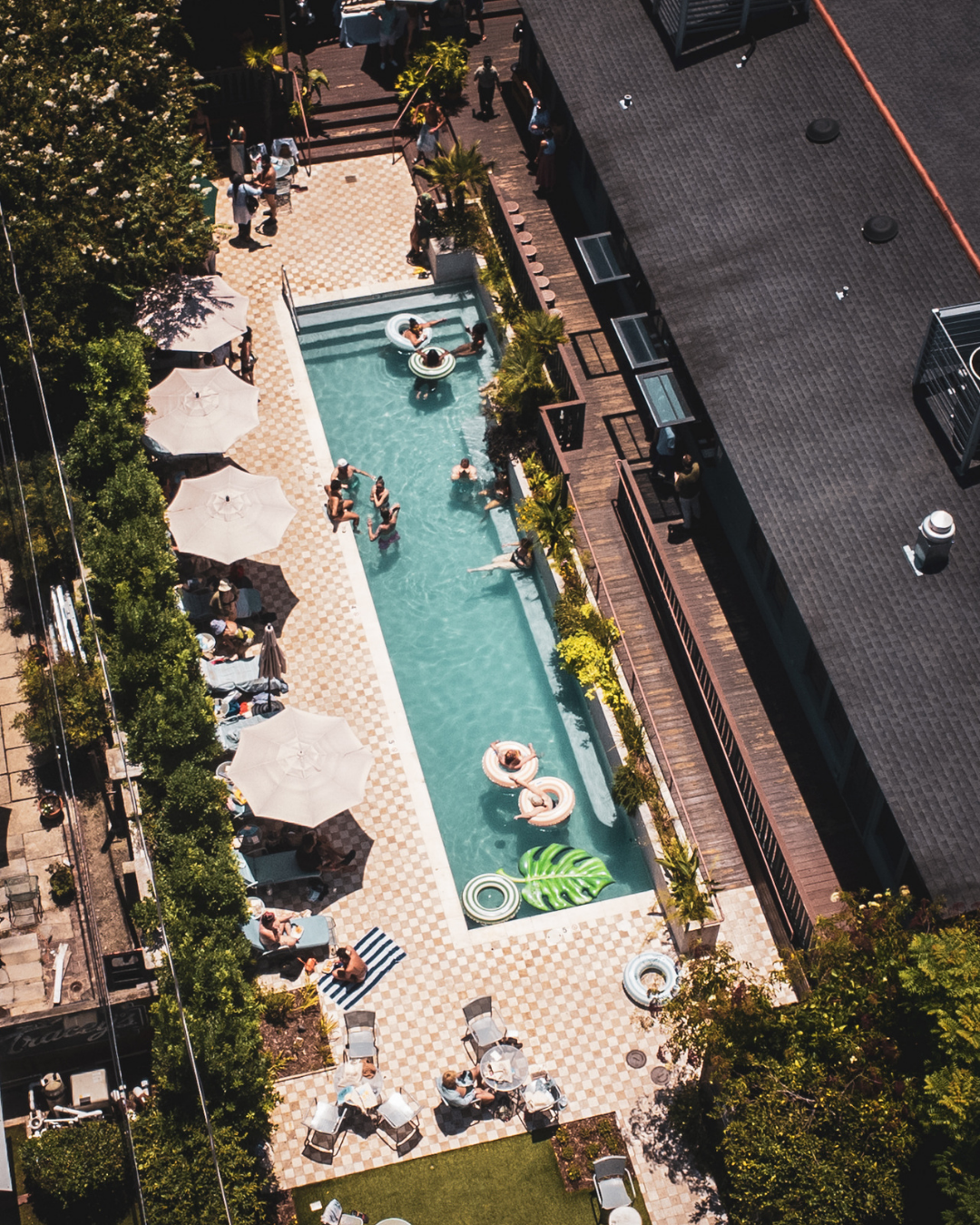 Guests enjoying the saltwater pool at The Chloe, a boutique hotel in Uptown New Orleans on St. Charles Avenue.