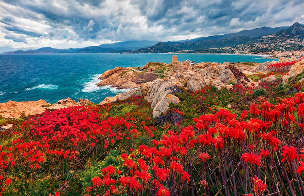 corsica.jpeg
