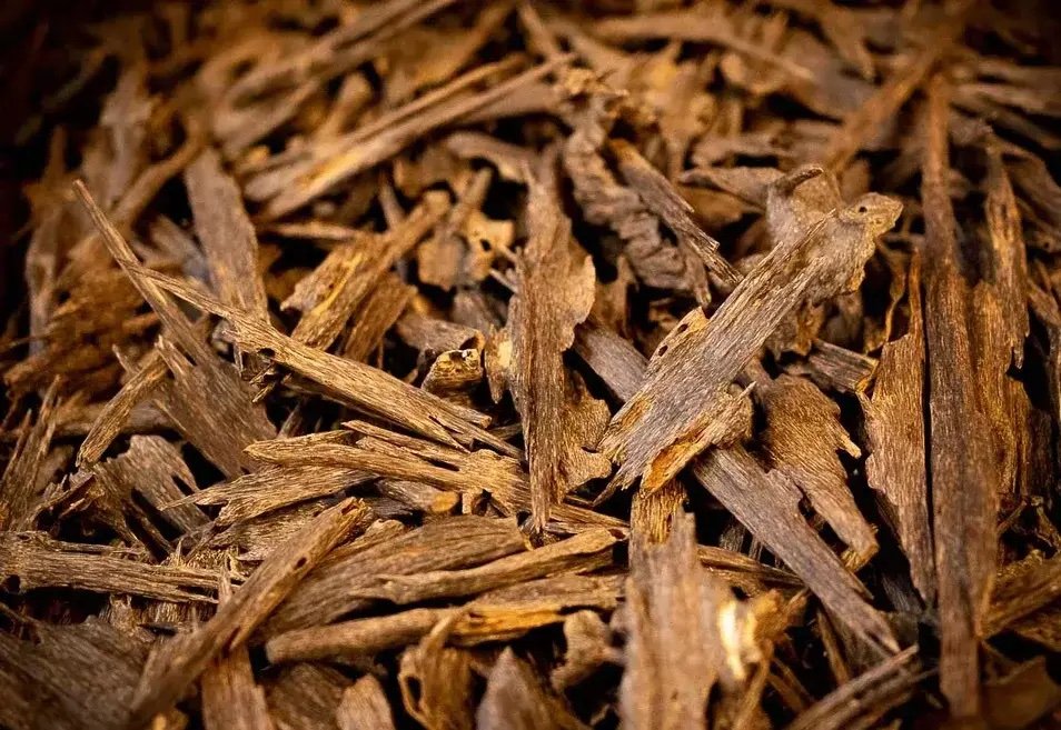 Oudh.jpeg