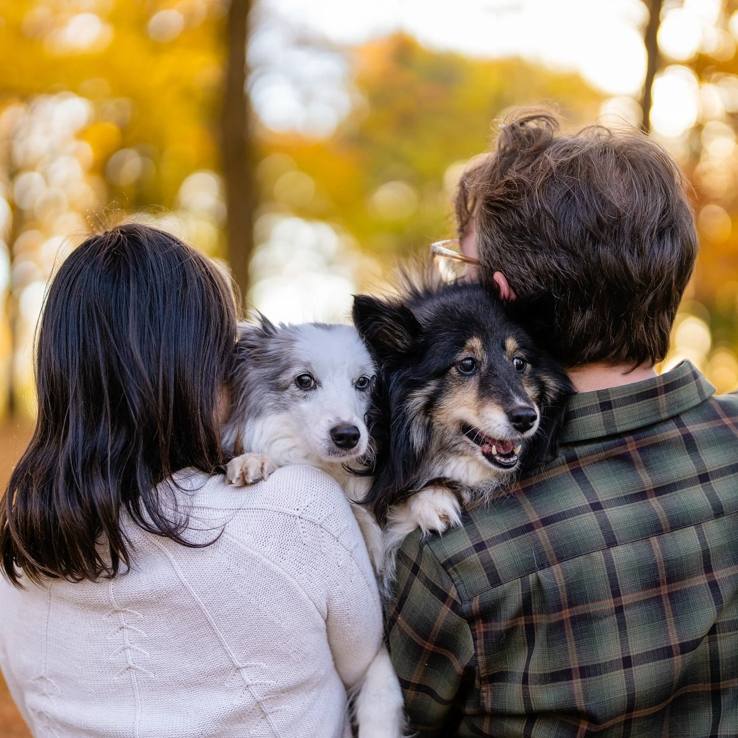 Mom, Dad, and the Pups! #familyphotos

MADISON PORTRAITS PHOTOGRAPHER | AUTHENTIC &amp; ORIGINAL PHOTOS
