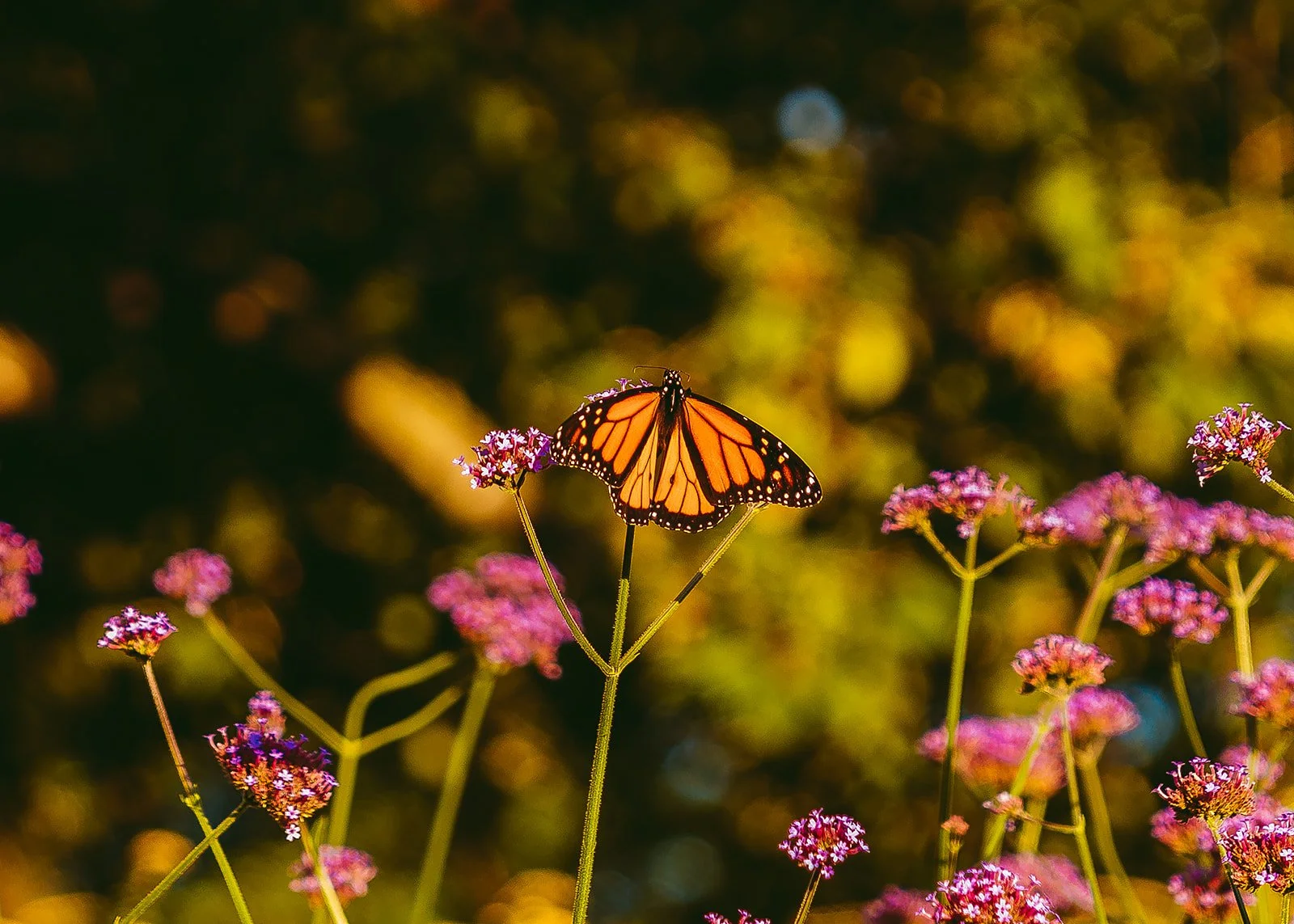 561_ShufflePhotography_Portfolio.jpg