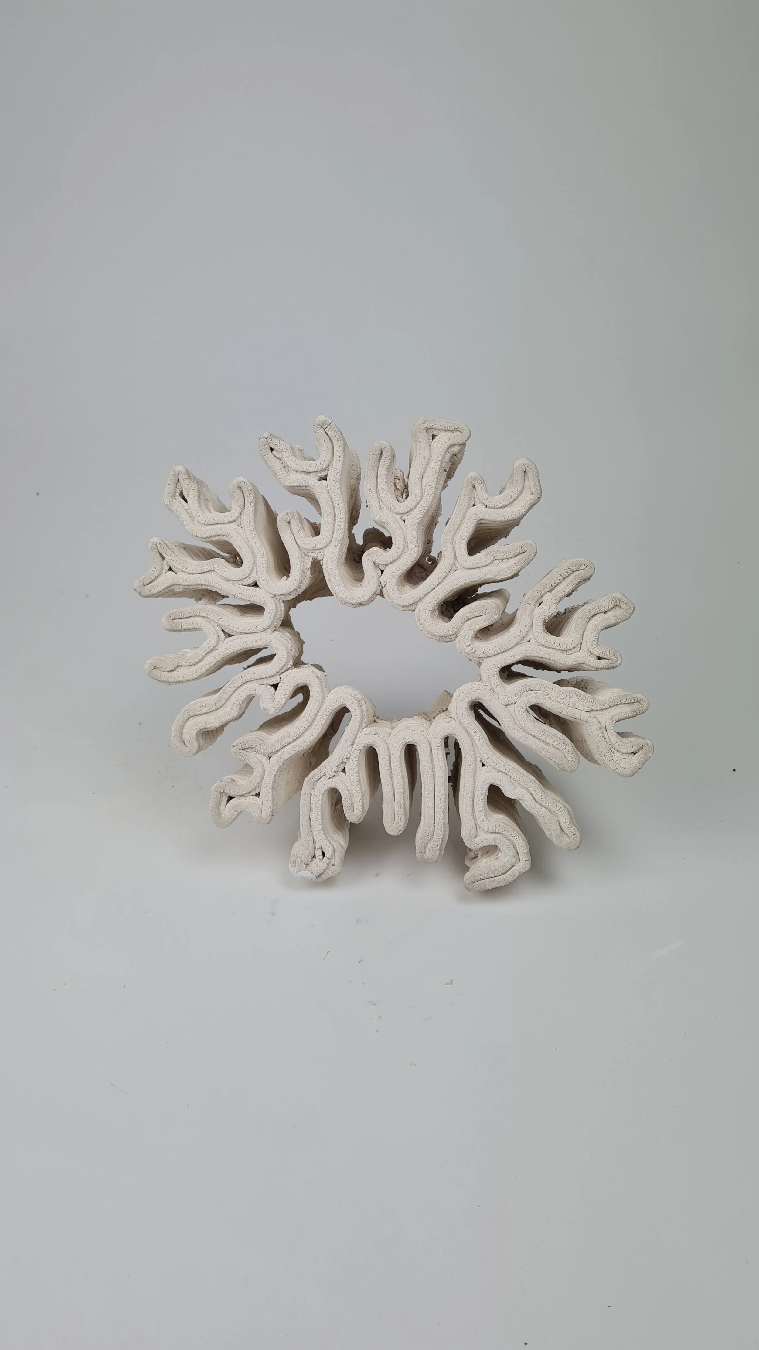 3D printed Coral Like Structure, B. OSULLIVAN