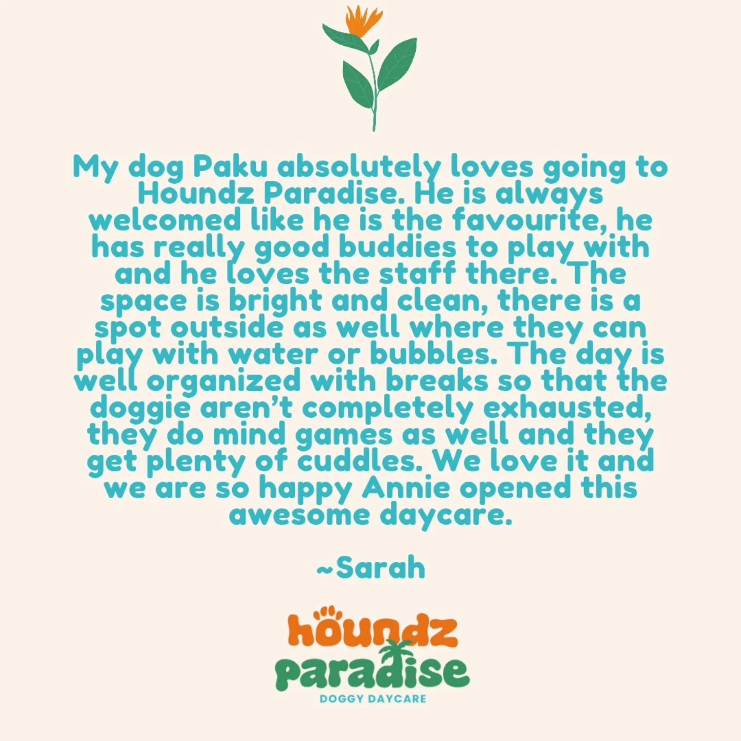 A beautiful little review from one of the handsomest boys Paku 🐶🥰
.
.
.
#dogdaycare #doggydaycare #dogdaycarelife #doggydaycarelife #welovedogs #weloveourdogs #petcare #doggrooming #doggroomer #doggroomermaribyrnong #maribyrnong #dogsofmelbourne #d