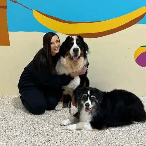 A person sitting on the floor with two large dogs