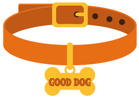 Illustration of an orange dog collar