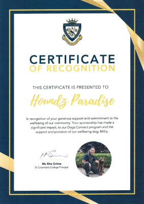 Certificate of Recognition