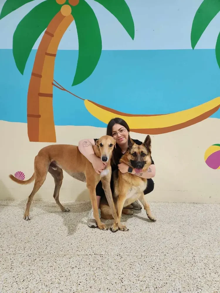 A person kneeling and hugging two dogs