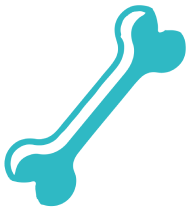 Blue bone icon