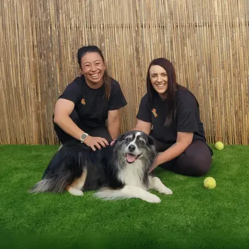 Two women in black shirts petting a happy dog