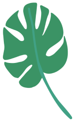 Illustration of a green Monstera leaf