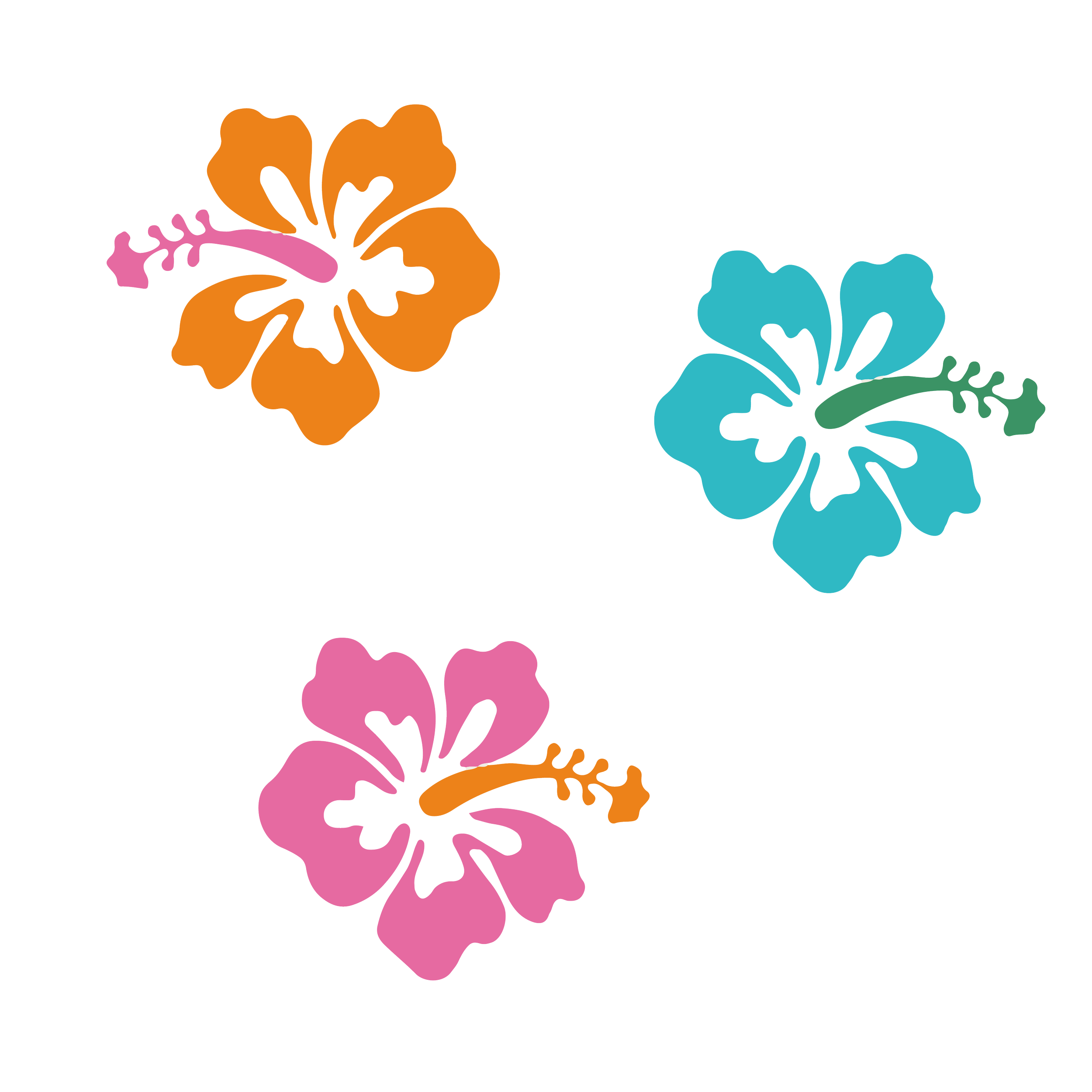 Three hibiscus flowers in orange, blue, and pink on a black background.