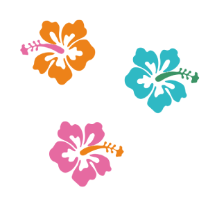 Illustration of three hibiscus flowers
