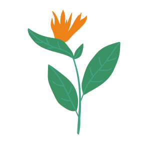 Illustration of an orange flower
