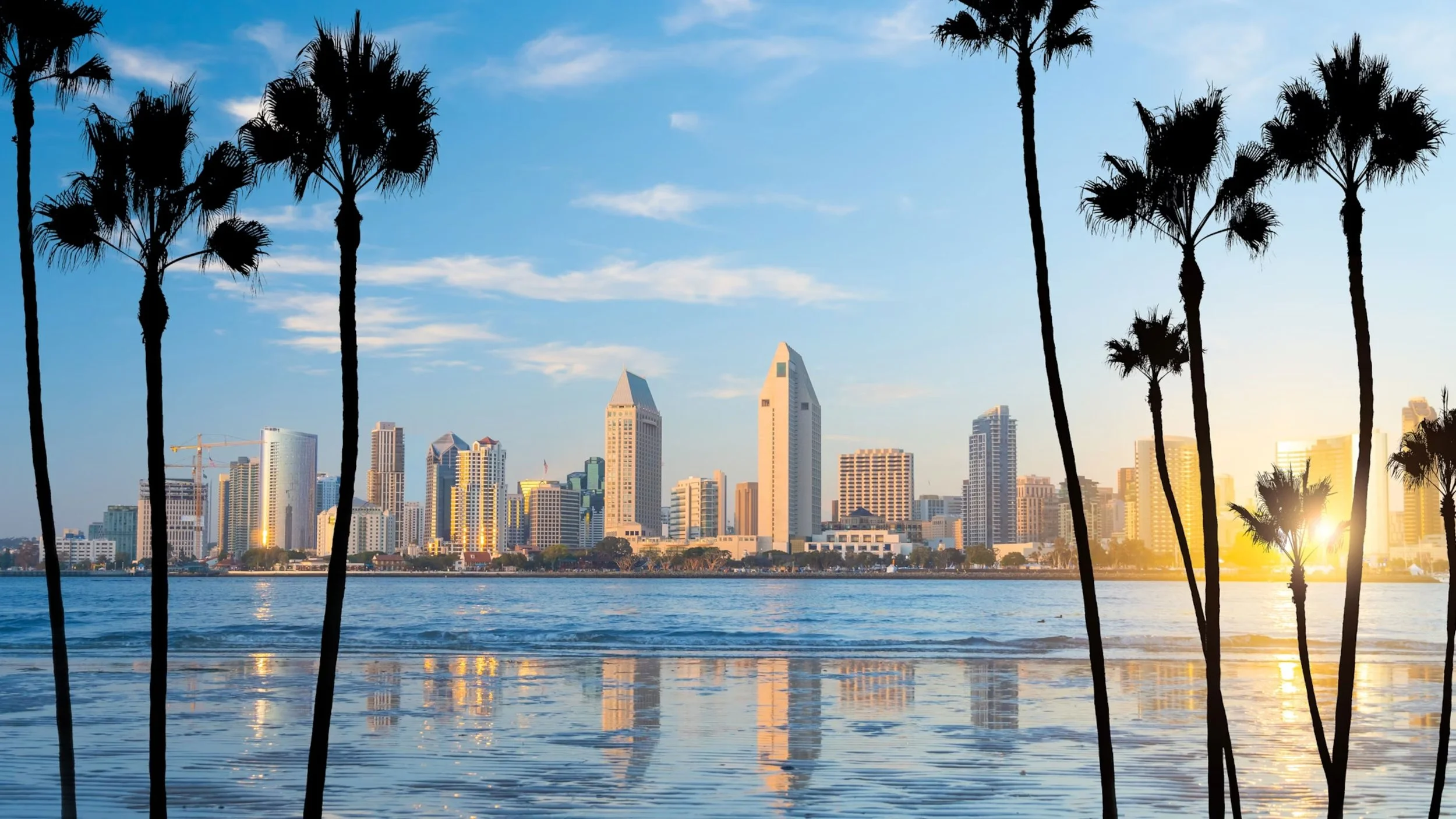 San Diego Marketing & Creative Agency