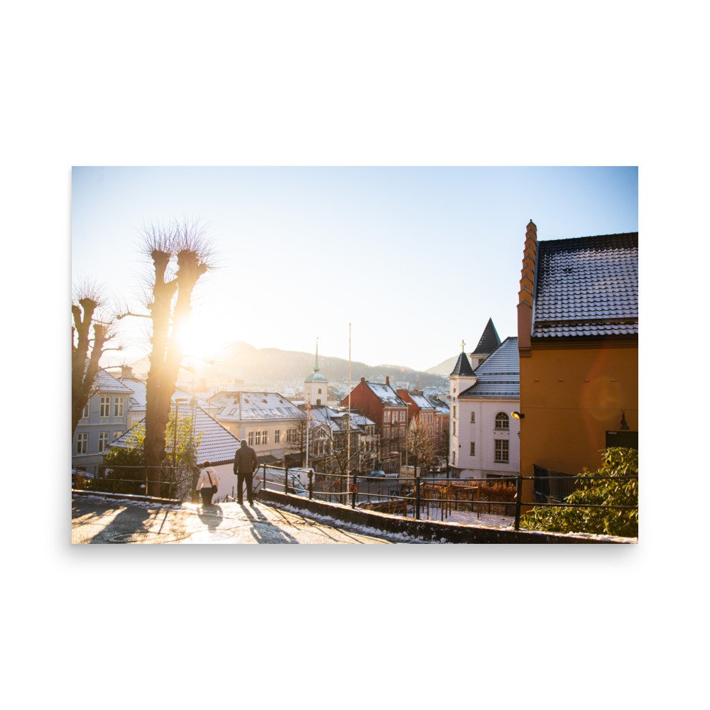 enhanced-matte-paper-poster-(in)-24x36-front-656f9f1115f19.jpg