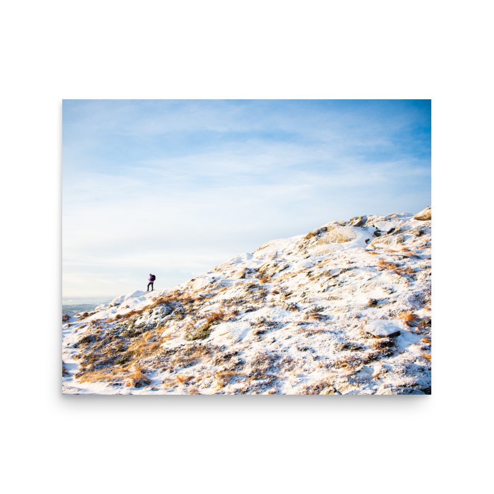 enhanced-matte-paper-poster-(in)-16x20-front-656fa88dcacd6.jpg