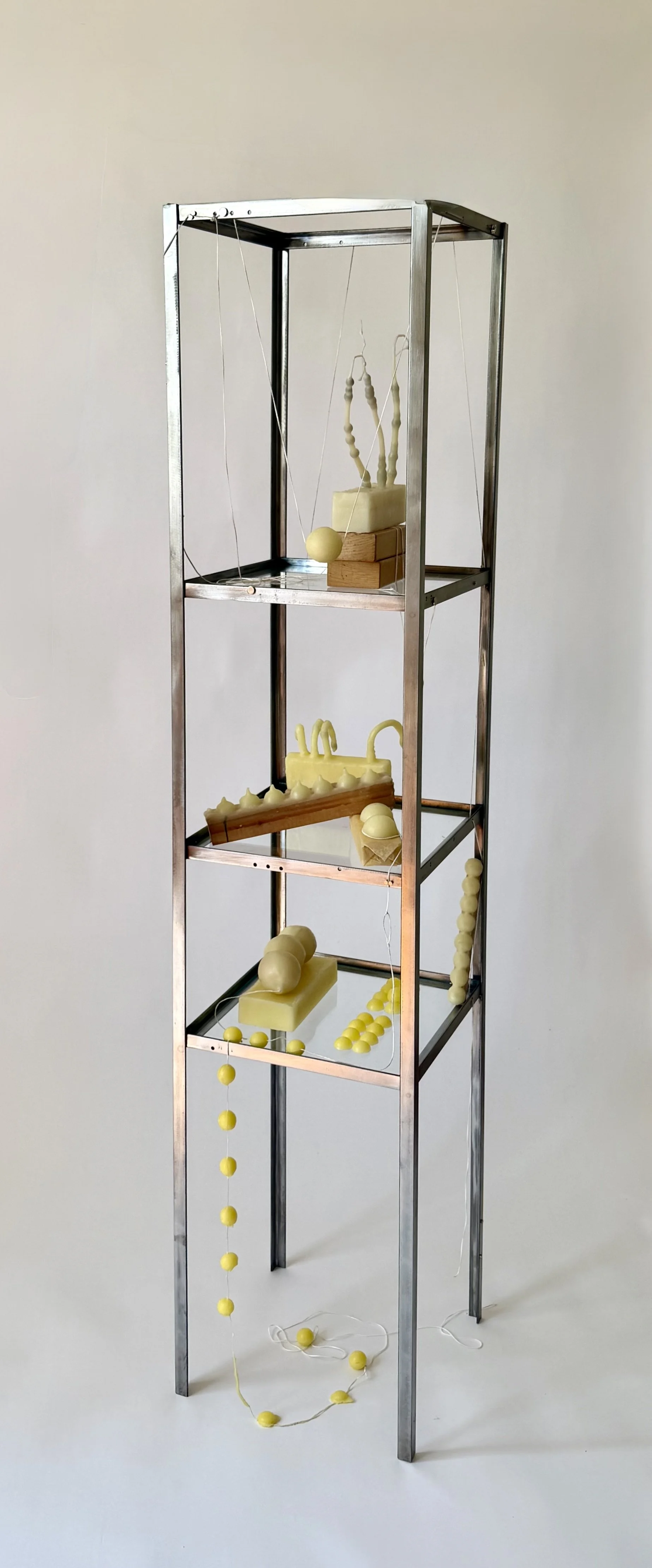 the body is an object (in formation), 2026

beeswax, fiber, wood, glass, steel
60x12x12 inches